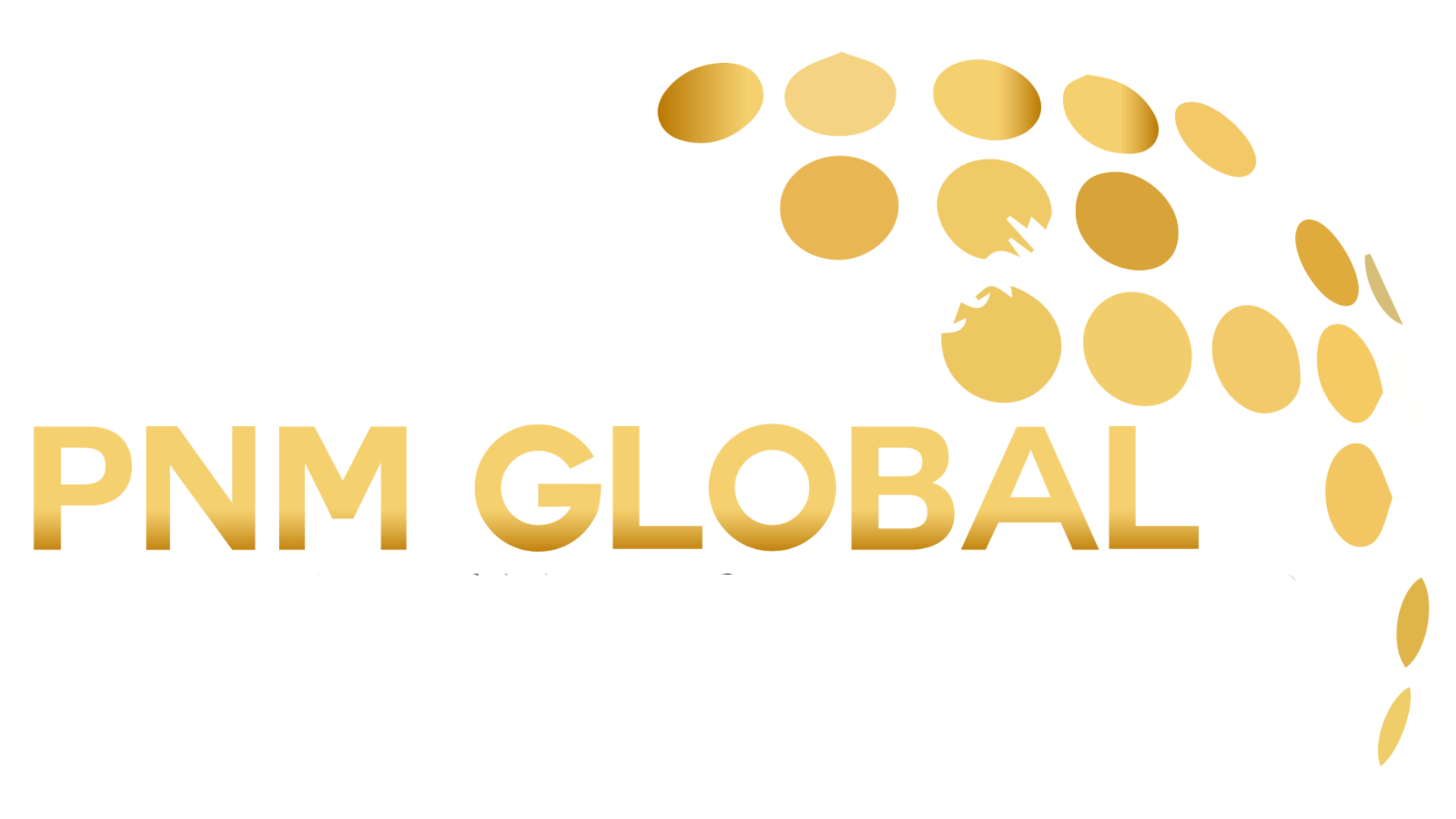 new project